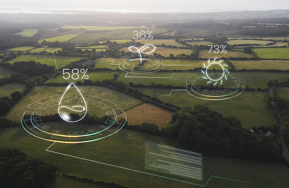 lindsay giguiere, greenfield grows, formulation and manufacturing, 360 degree transparency